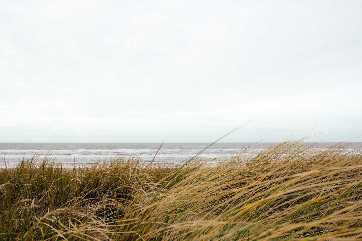 Saving the Planet with Algorithms: The Role of AI in Climate Change Mitigation