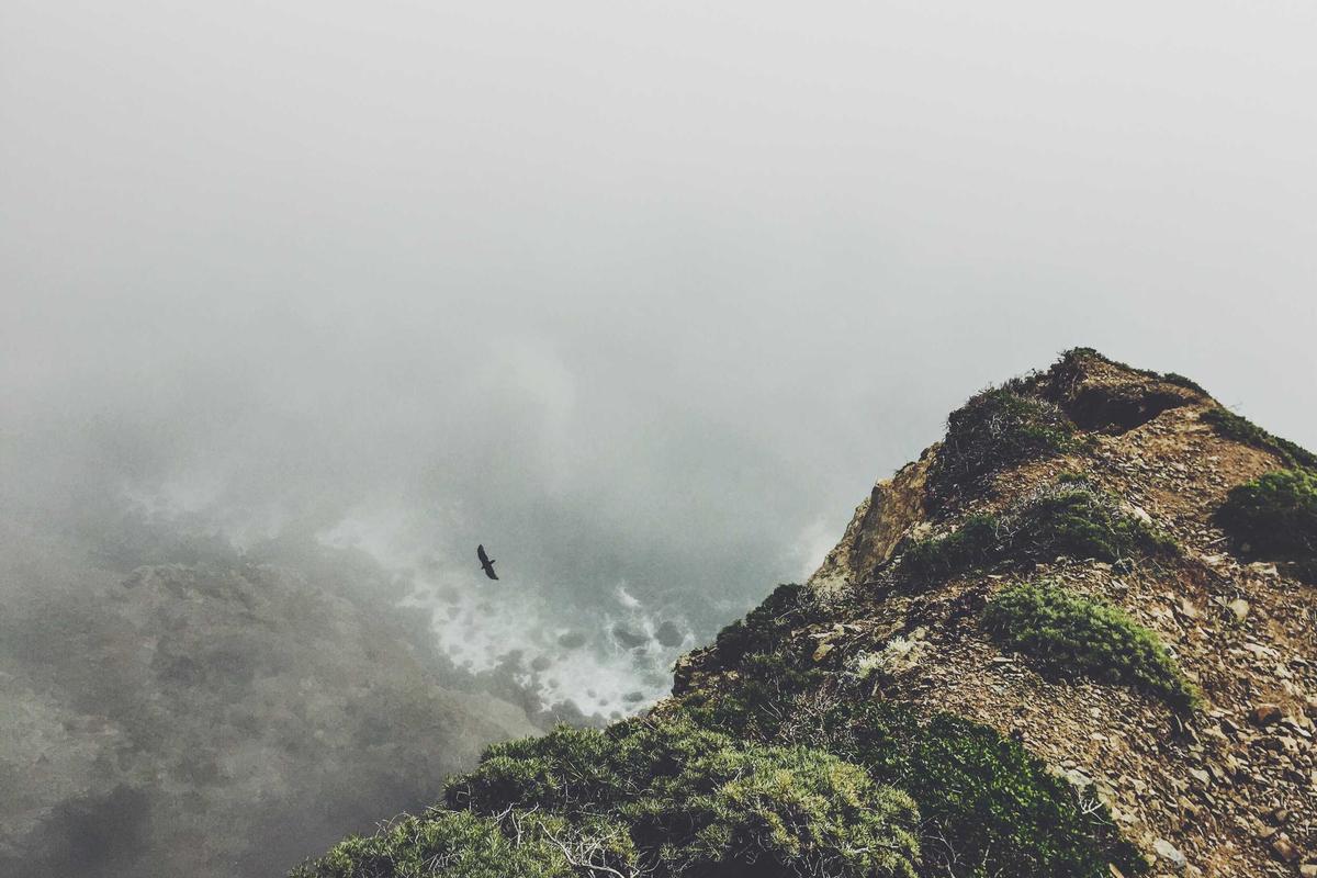 Whispers of the Earth: The Ultimate Guide to Exploring the Grand Canyon